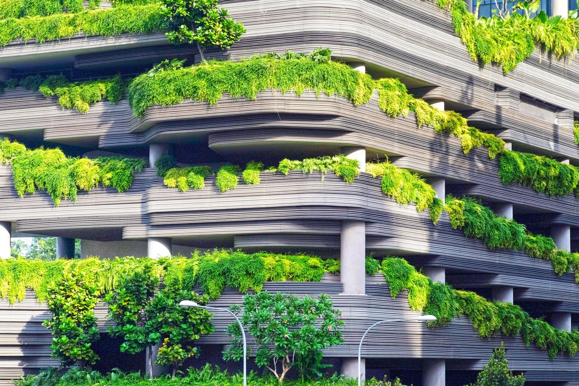 Greenery on building - Environmentally friendly